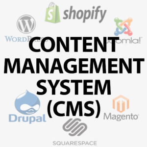 Content Management System Blog